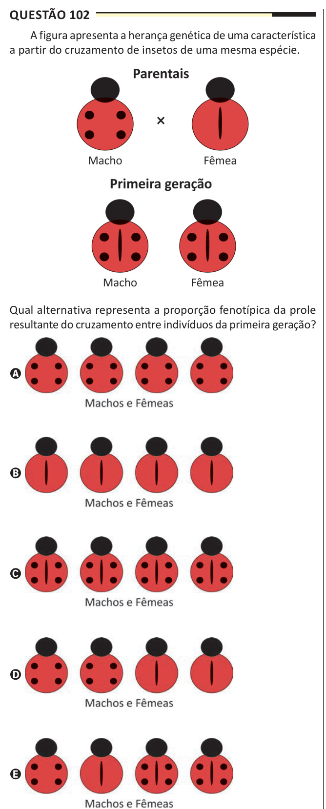 Imagem 1 da questão 102