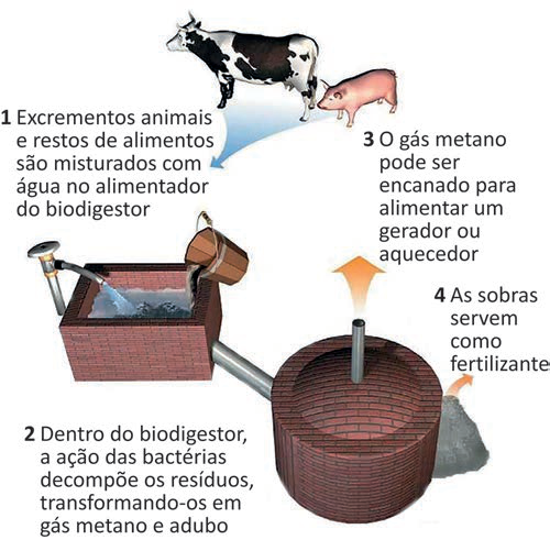 Imagem 1 da questão 111